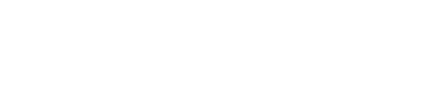 AccessPhone The Friendlier Home Phone Service